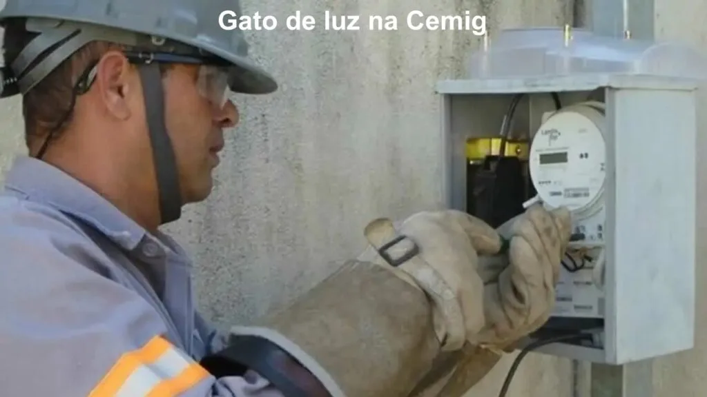 Tipos de gatos de energia elétrica mais encontrados