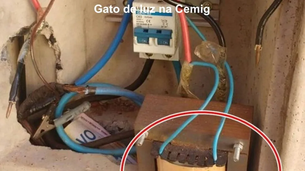 Tipos de gatos de energia elétrica mais encontrados